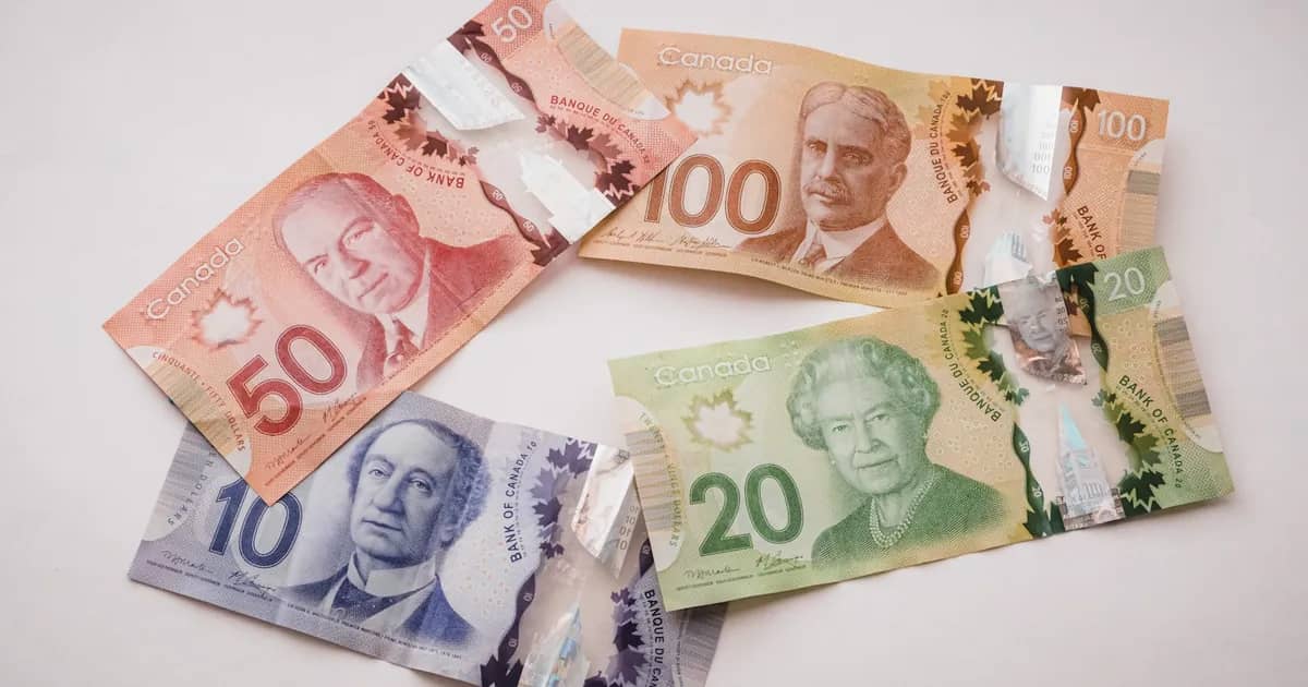 Canadian dollar banknotes laid out — the currency of an MSB startup budget